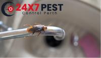247 Cockroach Control Perth image 2